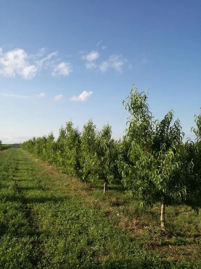 Bauernhof Agriturismo Il Fontanile Valeggio sul Mincio